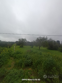 Terreno a Vittoria strada vittoria -Acate