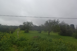 Terreno a Vittoria strada vittoria -Acate