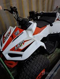 Quad Lem elettrico