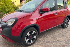 Panda Cross