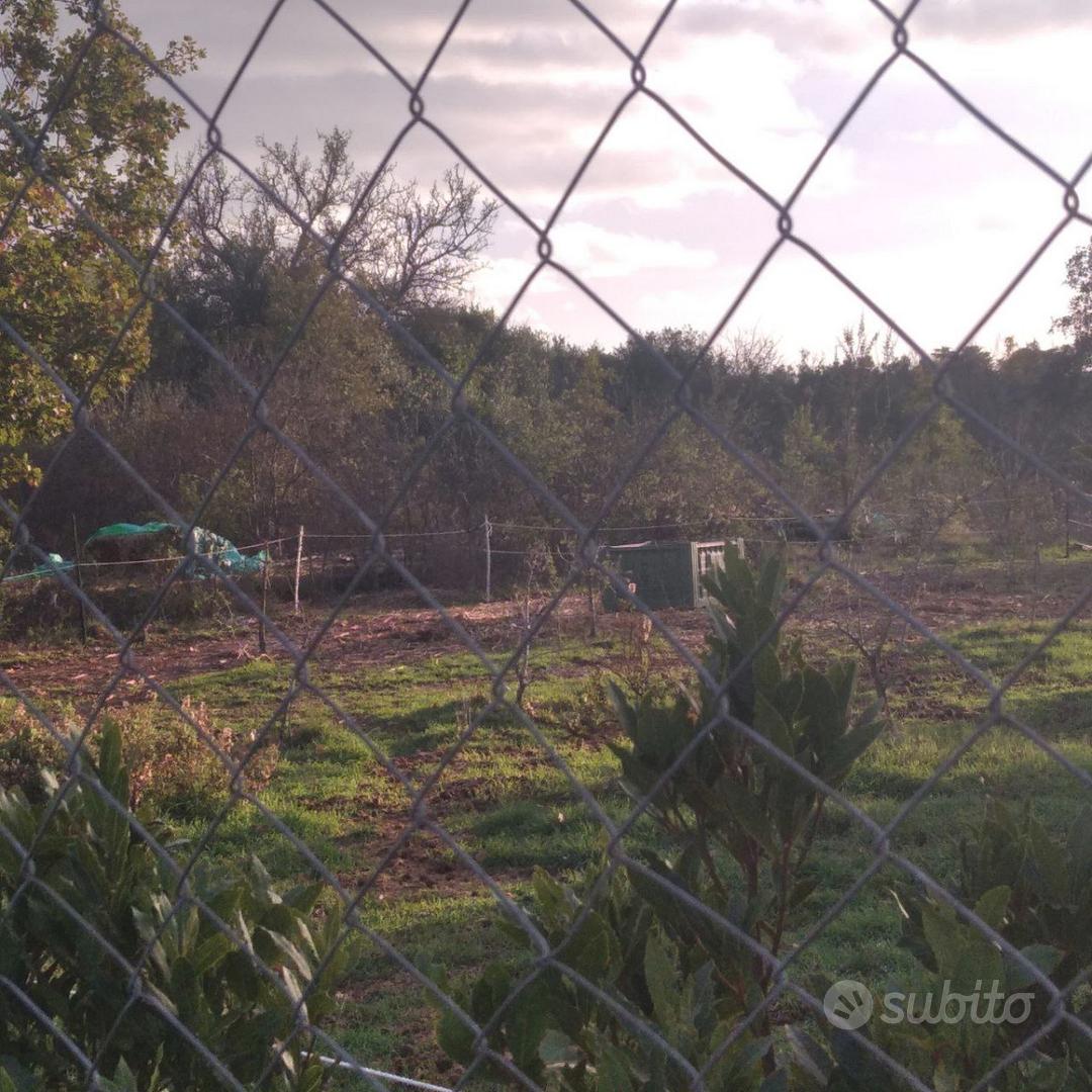 Terreno a Roma - Land for Sale in Rome - Vista 2