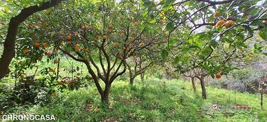Rometta, funzionale terreno agricolo terrazzato