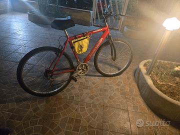 Mountain bike