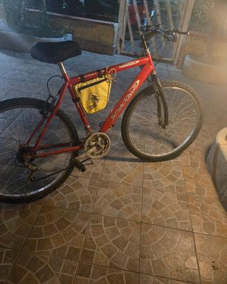 Mountain bike