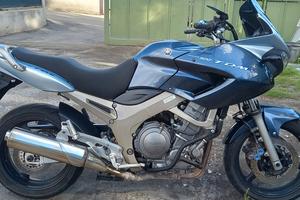 TDM 900