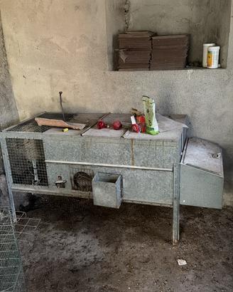 Gabbia per conigli