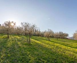 Rif.6/0119| terreno agricolo carmignano