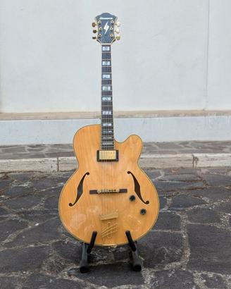 Ibanez pm20 pat metheny signature