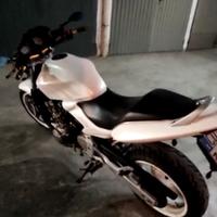 Honda Hornet