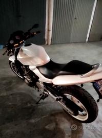 Honda Hornet