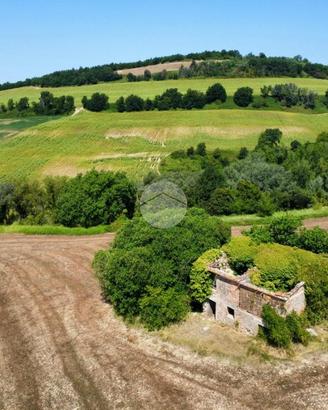 RUSTICO A CALVI DELL'UMBRIA