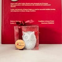 Idea bomboniera laurea