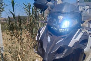 Benelli TRK X