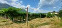ter-agricolo-a-caprino-veronese