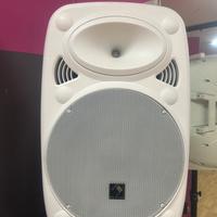 Cassa amplificata portatile con trepiedi