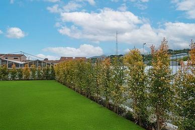 Loano nostra esclusiva si propone trilocale