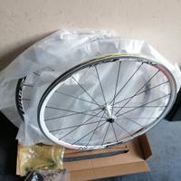 Ruote corsa 622x19 Alexrims Race PRO 