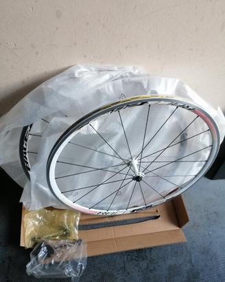 Ruote corsa 622x19 Alexrims Race PRO 