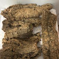 Sughero naturale per presepe