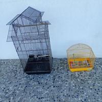 Gabbie uccellini / canarini