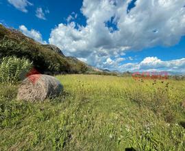 Terreno Agricolo Terracina [Cod. rif 3176012VRG]