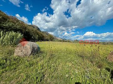 Terreno Agricolo Terracina [Cod. rif 3176012VRG]