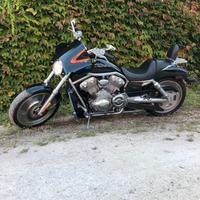 Harley Davidson V-Rod