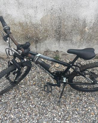 Bicicletta