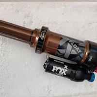 Mono fox kashima  2025