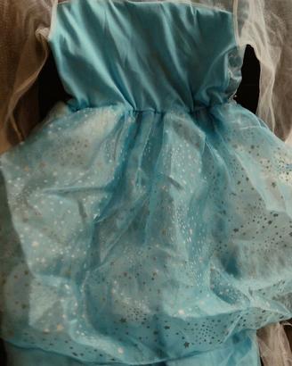 Costume Frozen