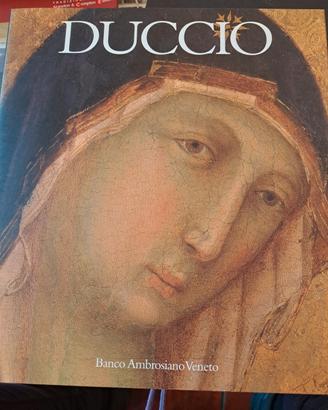 biografia Duccio di Enzo Carli