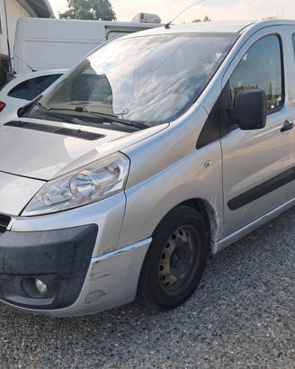 PULMINO 9 POSTI