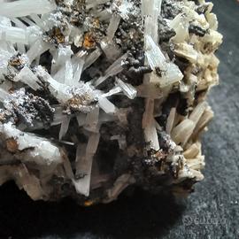 Cerussite Montevecchio 