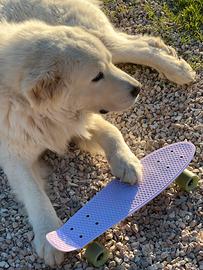 Skateboard