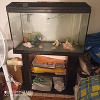 Acquario 150 litri