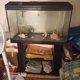 Acquario 150 litri
