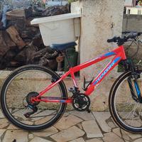 bici  da ragazzo 