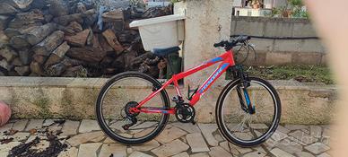 bici  da ragazzo 