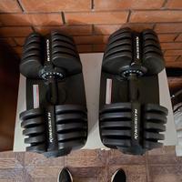 manubri regolabili kingsgym 2 - 40 kg