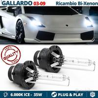 Lampadine BIXENON PER LAMBORGHINI GALLARDO 03-09