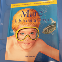Libro del MARE