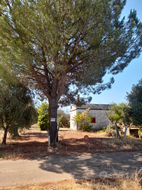 Terreno in contrada Terzo di mezzo