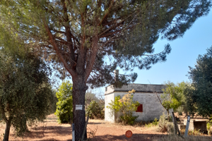 Terreno in contrada Terzo di mezzo