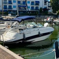 Glastron GS 259-Barca Usata