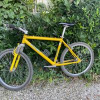 Pinarello Mountain bike