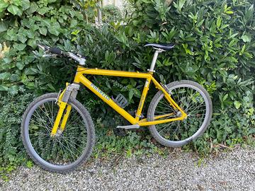 Pinarello Mountain bike