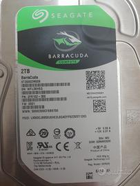 Barracuda Hard Disk 2tb MAI USATO