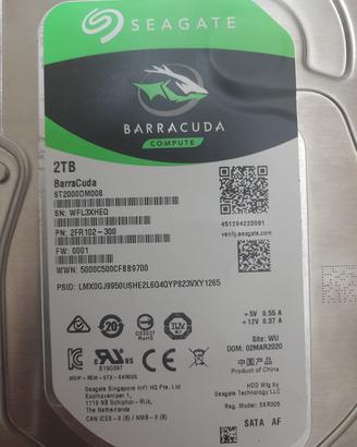 Barracuda Hard Disk 2tb MAI USATO