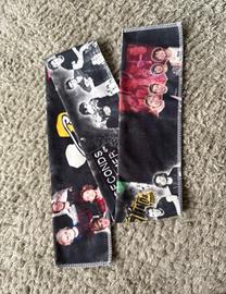Fascia concerto 5 Seconds of Summer