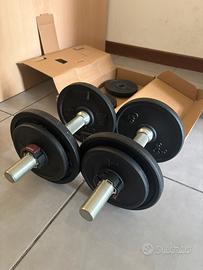 Manubri Palestra